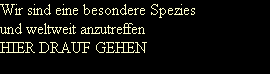Wir sind eine besondere Spezies 
und weltweit anzutreffen
HIER DRAUF GEHEN
